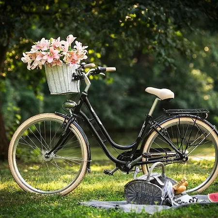 מלון Golfi פודבראדי